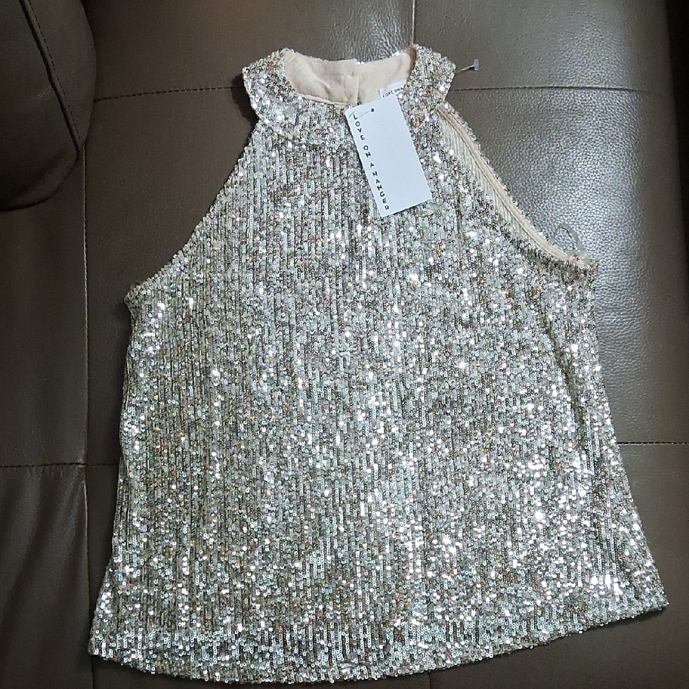 Love on a Hanger Sparkling Silver Sequin Top